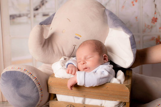 Pirmasis kūdikio mėnuo plokščios galvos sindromas kūdikio stimuliacija naujagimio makšta kūdikio makšta pilvuko laikas kineziterapeutė Eglė Tamašauskienė pirmas judeys kūdikio motorinė raida raumenų asimetrija hipertonusas hipotonusas