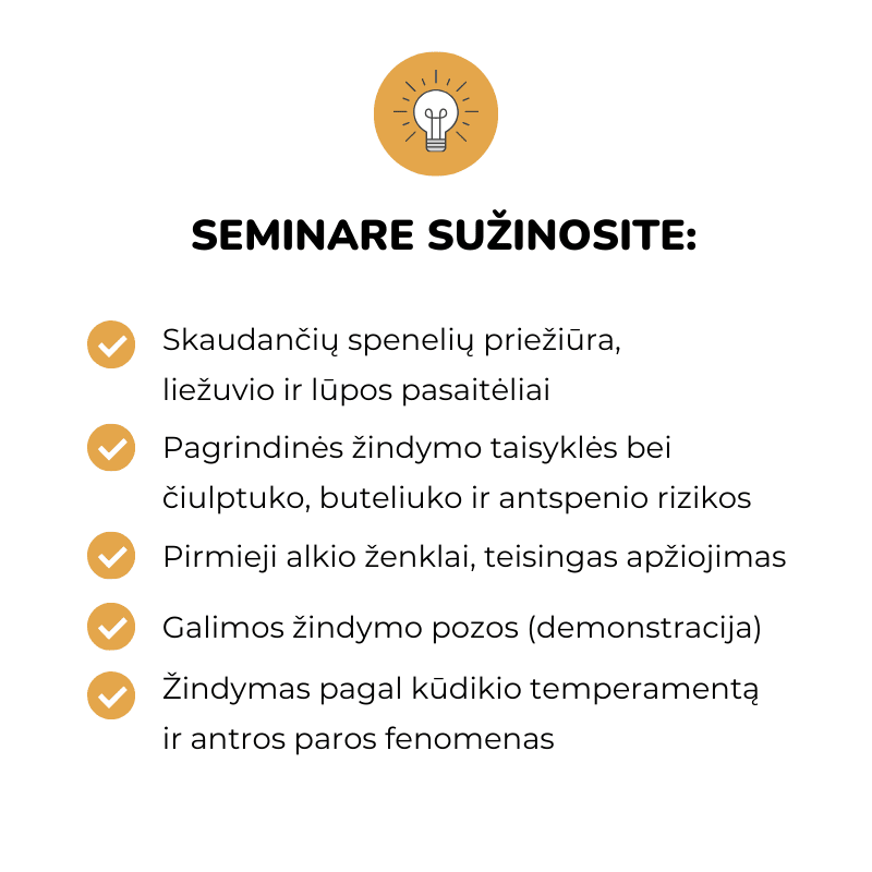 Pasiruošimas žindymui - viskas, ką reikia žinoti (0-4 mėn.) Eglė Gurčinė Krūties sandara motinos pienas motinos pieno svarba kaip pradėti žindyti žindymo taisyklės Teisingas kūdikio priglaudimas prie krūties