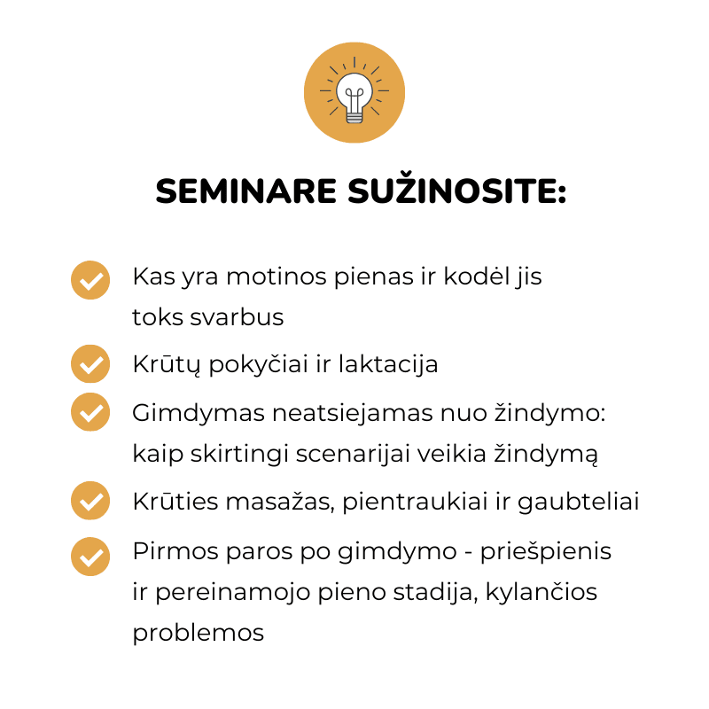 Pasiruošimas žindymui - viskas, ką reikia žinoti (0-4 mėn.) Eglė Gurčinė Krūties sandara motinos pienas motinos pieno svarba kaip pradėti žindyti žindymo taisyklės Teisingas kūdikio priglaudimas prie krūties