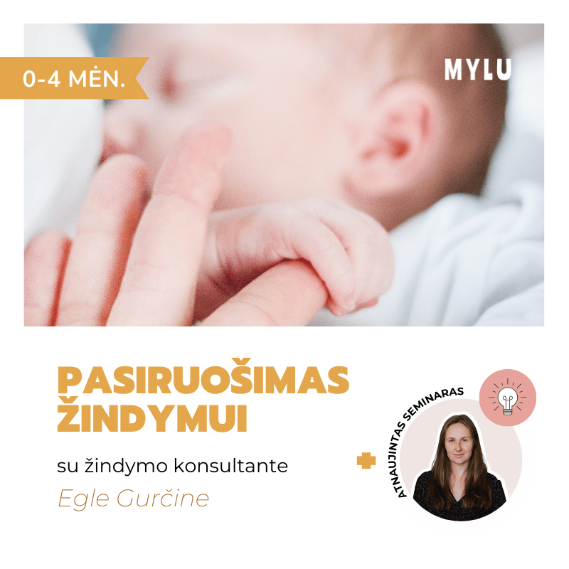 Pasiruošimas žindymui - viskas, ką reikia žinoti (0-4 mėn.) Eglė Gurčinė Krūties sandara motinos pienas motinos pieno svarba kaip pradėti žindyti žindymo taisyklės Teisingas kūdikio priglaudimas prie krūties