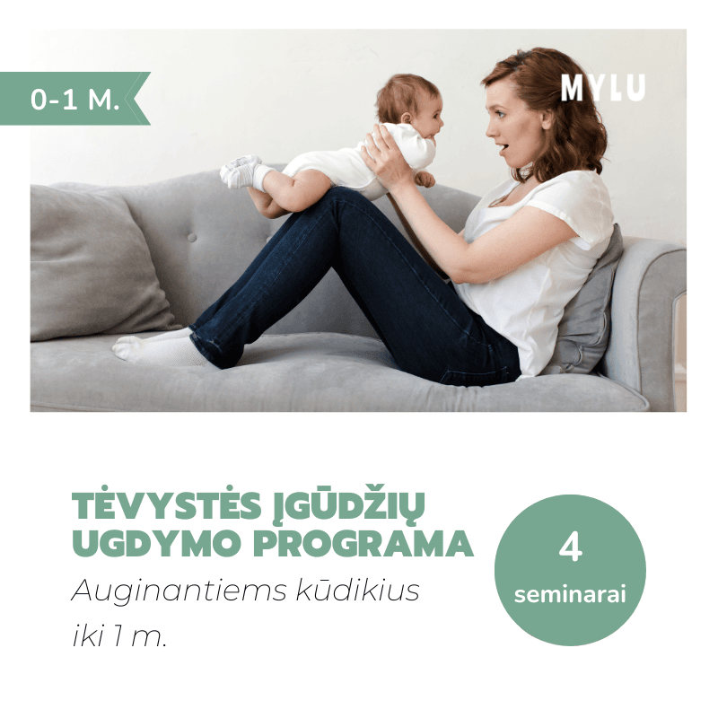 Šiuolaikinė tėvystė kasdienybės iššūkiai tėvystės gidas tėvystės programa tėvystės įgūdžių ugdymo programa pagalba tėvams tėvystės mokymai