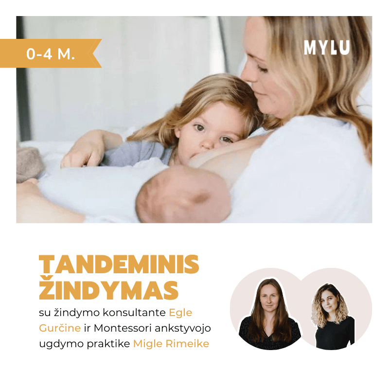 Tandeminis žindymas (0-4 m.) Eglė Gurčinė ir Miglė Rimeikė Dažniausi mitai apie tandeminį žindymą Kaip derinti dvejų ar daugiau vaikų žindymą Kaip pasireiškia aversija kaip derinti nėštumą ir žindymą