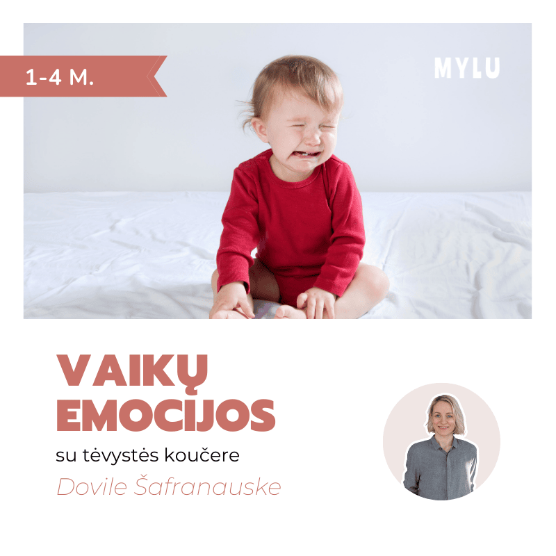 Vaikų emocijos (1-4 m.) Dovilė Šafranauskė  tarpusavio santykiai suprasti emocijas emocinės smegenys tantrumas emocinio intelekto lavinimas kodėl man vaikas verkia pykčio priepuoliai auklėjimas